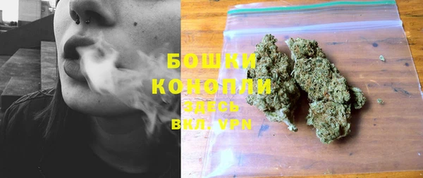 дмт Тында
