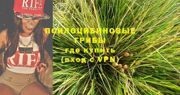 прущий лед Инсар