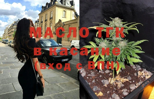 твердый Инта
