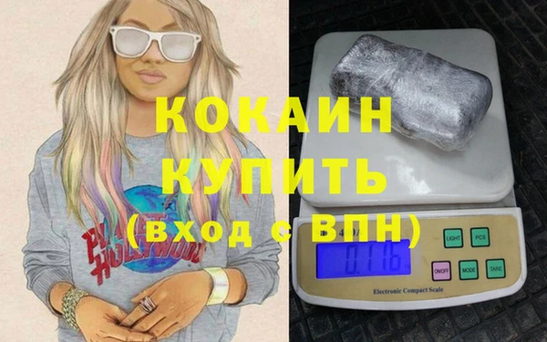 твердый Инта