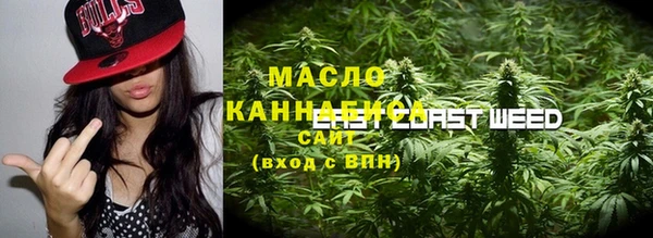 шишки Заволжск
