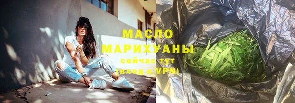 твердый Инта
