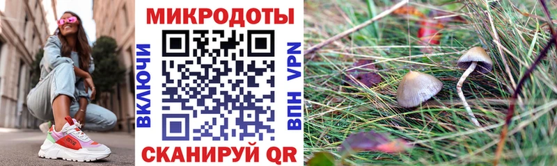Галлюциногенные грибы MAGIC MUSHROOMS  Ликино-Дулёво 
